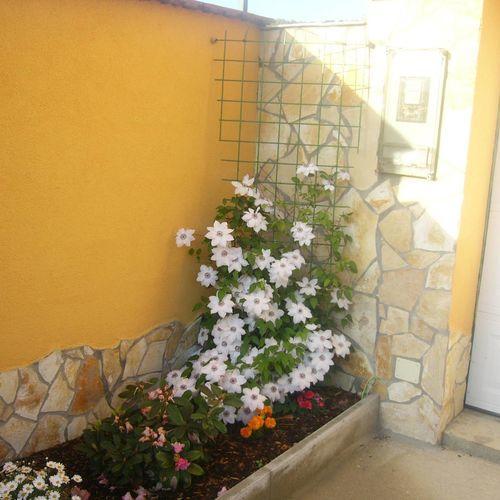 Kustánygyöngye Vendégház Kehidakustány Extérieur photo